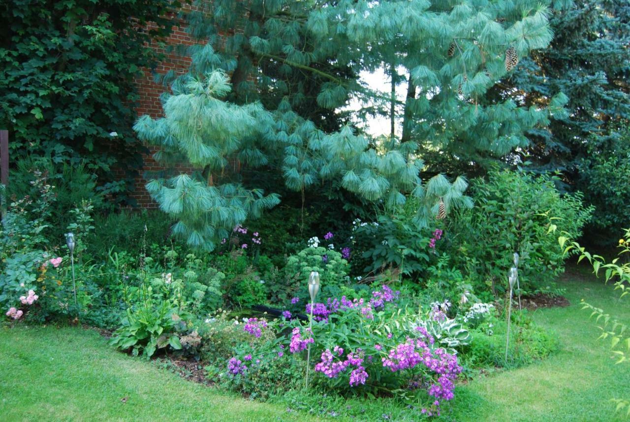 Ferienwohnung Aronia Warlow 外观 照片